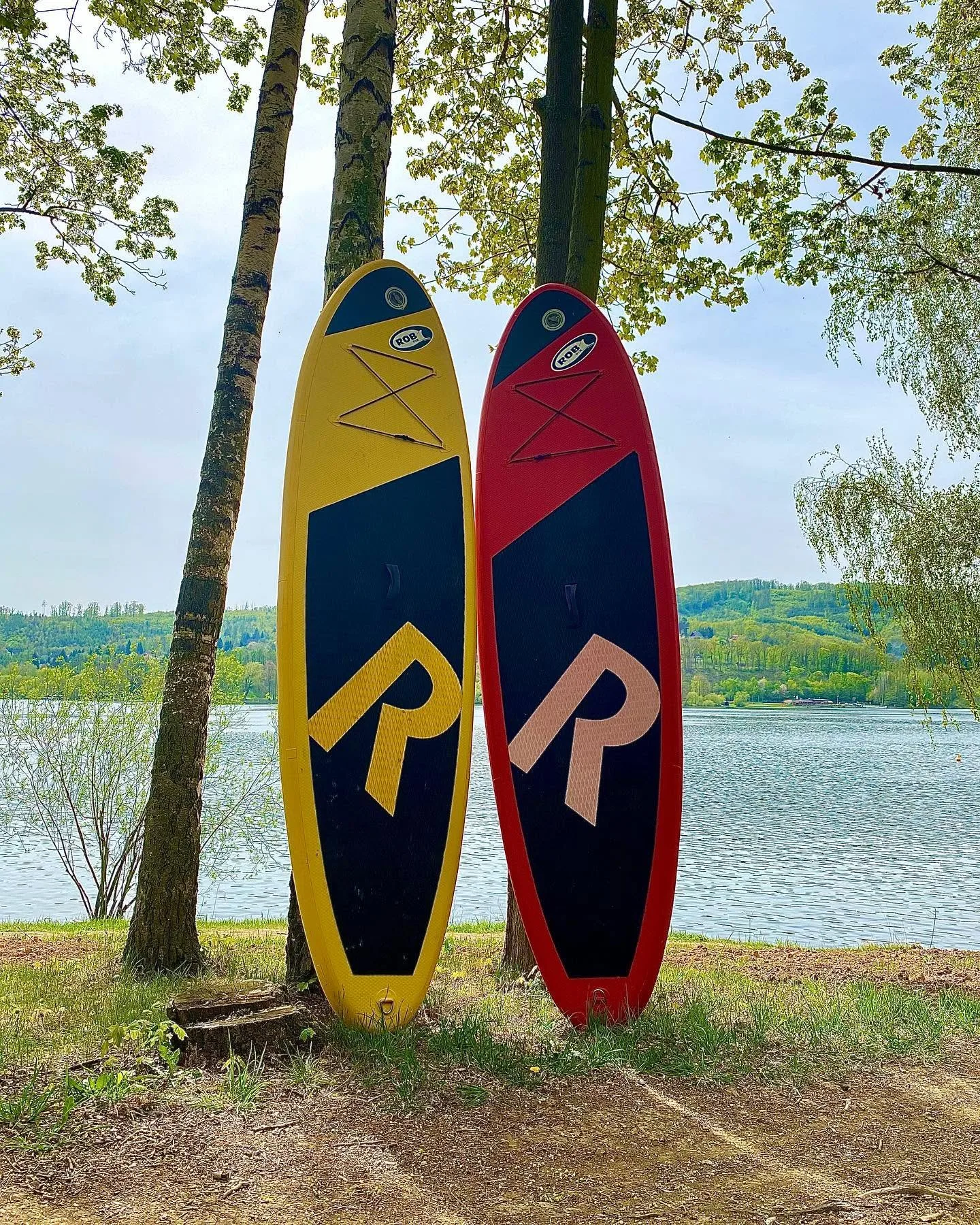 Žluté a červené paddleboardy ROB opřené o břízy na břehu Brněnské přehrady